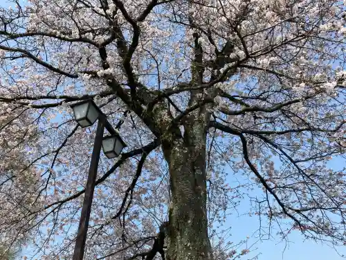 富士山本宮浅間大社の{uncategorized: "未分類", other: "その他", undefined: "問題あり", building: "その他建物", grave: "お墓", sacred_gate: "鳥居", guardian: "狛犬", statue: "像", buddha: "仏像", history: "歴史", nature: "自然", garden: "庭園", animal: "動物", pagoda: "塔", temizu: "手水舎", mountain_gate: "山門・神門", sanctuary: "本殿・本堂", subordinate: "末社・摂社", art: "芸術", scenery: "景色", jizo: "地蔵", ema: "絵馬", goshuin: "御朱印", omikuji: "おみくじ", items: "授与品その他", amulet: "お守り", goshuincho: "御朱印帳", eats: "食事", festival: "お祭り", votive_dance: "神楽", shichigosan: "七五三参", wedding: "結婚式", experience: "体験その他", initially: "初詣", around: "周辺", anti_infection: "感染症対策"}