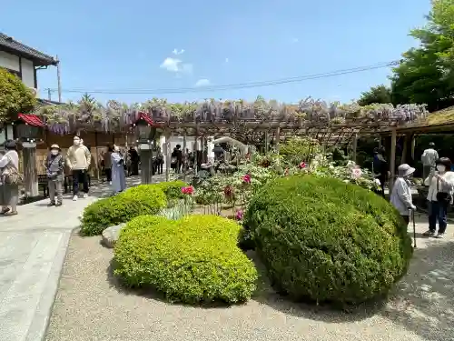 金蛇水神社の{uncategorized: "未分類", other: "その他", undefined: "問題あり", building: "その他建物", grave: "お墓", sacred_gate: "鳥居", guardian: "狛犬", statue: "像", buddha: "仏像", history: "歴史", nature: "自然", garden: "庭園", animal: "動物", pagoda: "塔", temizu: "手水舎", mountain_gate: "山門・神門", sanctuary: "本殿・本堂", subordinate: "末社・摂社", art: "芸術", scenery: "景色", jizo: "地蔵", ema: "絵馬", goshuin: "御朱印", omikuji: "おみくじ", items: "授与品その他", amulet: "お守り", goshuincho: "御朱印帳", eats: "食事", festival: "お祭り", votive_dance: "神楽", shichigosan: "七五三参", wedding: "結婚式", experience: "体験その他", initially: "初詣", around: "周辺", anti_infection: "感染症対策"}