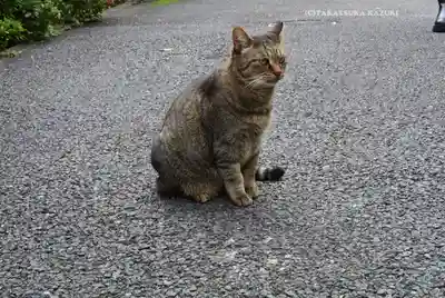 白金氷川神社(東京都)