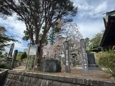 豊景神社の{uncategorized: "未分類", other: "その他", undefined: "問題あり", building: "その他建物", grave: "お墓", sacred_gate: "鳥居", guardian: "狛犬", statue: "像", buddha: "仏像", history: "歴史", nature: "自然", garden: "庭園", animal: "動物", pagoda: "塔", temizu: "手水舎", mountain_gate: "山門・神門", sanctuary: "本殿・本堂", subordinate: "末社・摂社", art: "芸術", scenery: "景色", jizo: "地蔵", ema: "絵馬", goshuin: "御朱印", omikuji: "おみくじ", items: "授与品その他", amulet: "お守り", goshuincho: "御朱印帳", eats: "食事", festival: "お祭り", votive_dance: "神楽", shichigosan: "七五三参", wedding: "結婚式", experience: "体験その他", initially: "初詣", around: "周辺", anti_infection: "感染症対策"}