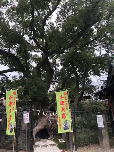 牛嶋天満宮の建物その他