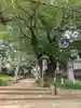 下高井戸八幡神社(東京都)