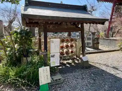 天翁院(栃木県)