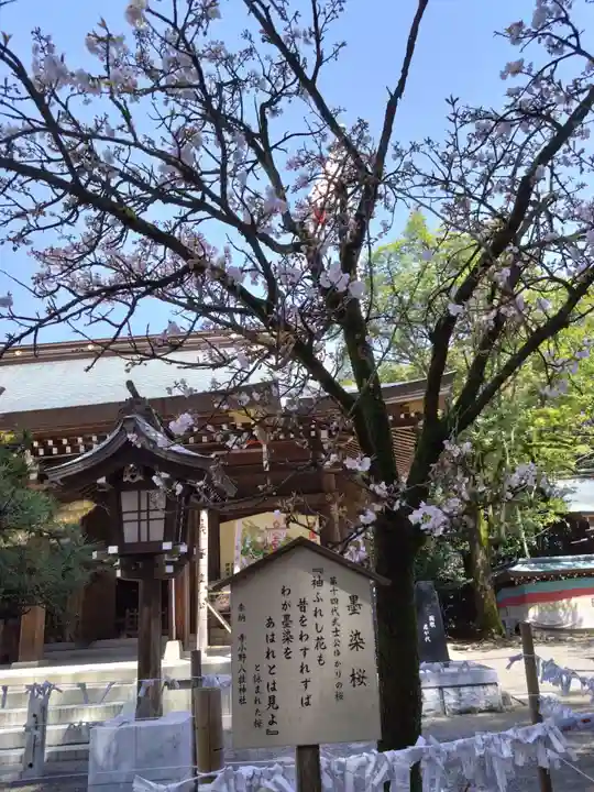 菊池神社(熊本県)