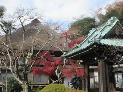 海蔵寺のその他建物