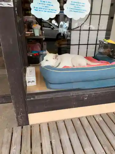 青蓮院門跡(京都府)