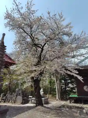 三光院(群馬県)