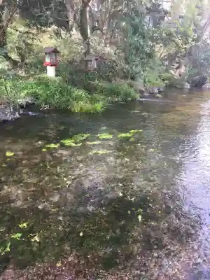 富士山本宮浅間大社(静岡県)