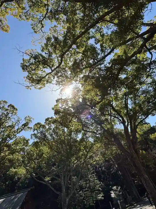 安房神社の{uncategorized: "未分類", other: "その他", undefined: "問題あり", building: "その他建物", grave: "お墓", sacred_gate: "鳥居", guardian: "狛犬", statue: "像", buddha: "仏像", history: "歴史", nature: "自然", garden: "庭園", animal: "動物", pagoda: "塔", temizu: "手水舎", mountain_gate: "山門・神門", sanctuary: "本殿・本堂", subordinate: "末社・摂社", art: "芸術", scenery: "景色", jizo: "地蔵", ema: "絵馬", goshuin: "御朱印", omikuji: "おみくじ", items: "授与品その他", amulet: "お守り", goshuincho: "御朱印帳", eats: "食事", festival: "お祭り", votive_dance: "神楽", shichigosan: "七五三参", wedding: "結婚式", experience: "体験その他", initially: "初詣", around: "周辺", anti_infection: "感染症対策"}