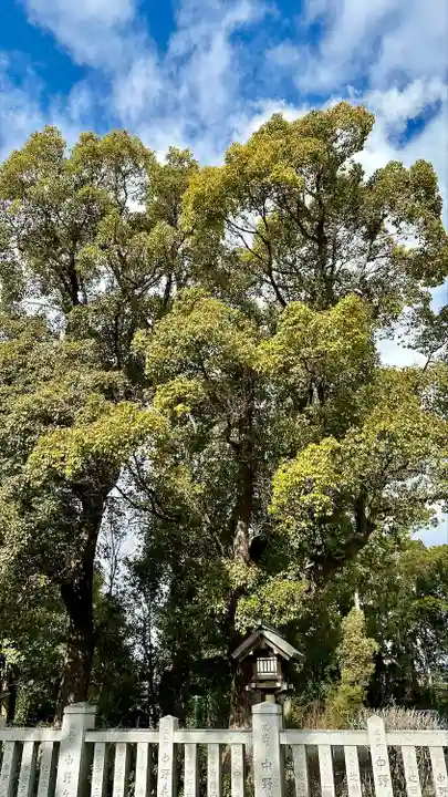 和泉國一之宮 大鳥大社(大阪府)