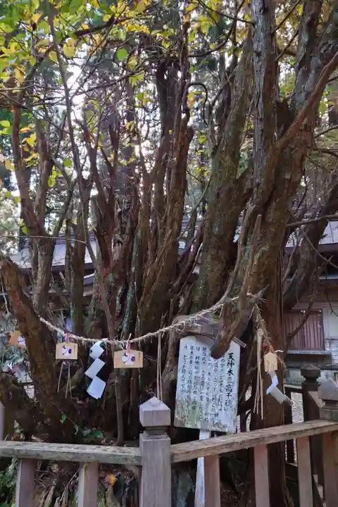 幣立神宮(熊本県)