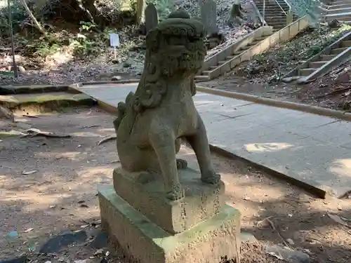 浅間神社の狛犬