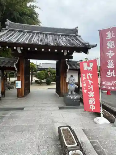 達磨寺(奈良県)