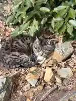 唐澤山神社(栃木県)