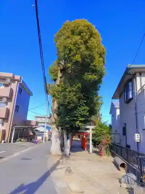 金太郎稲荷神社の自然