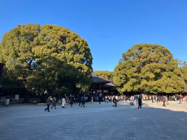 明治神宮(東京都)