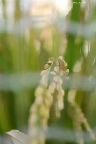 【閉業】小石川大神宮(東京都)