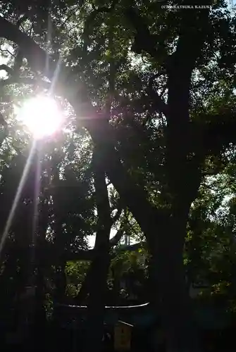 六郷神社(東京都)