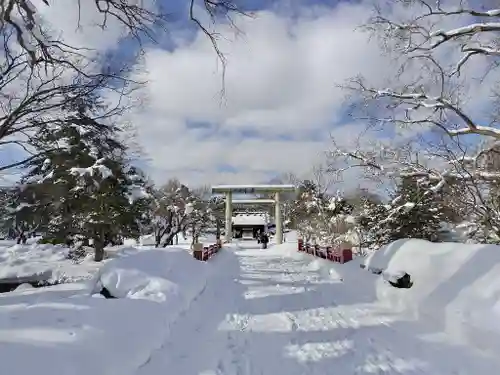 札幌護國神社の鳥居