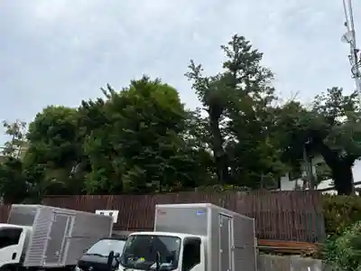 養玉院如来寺(東京都)