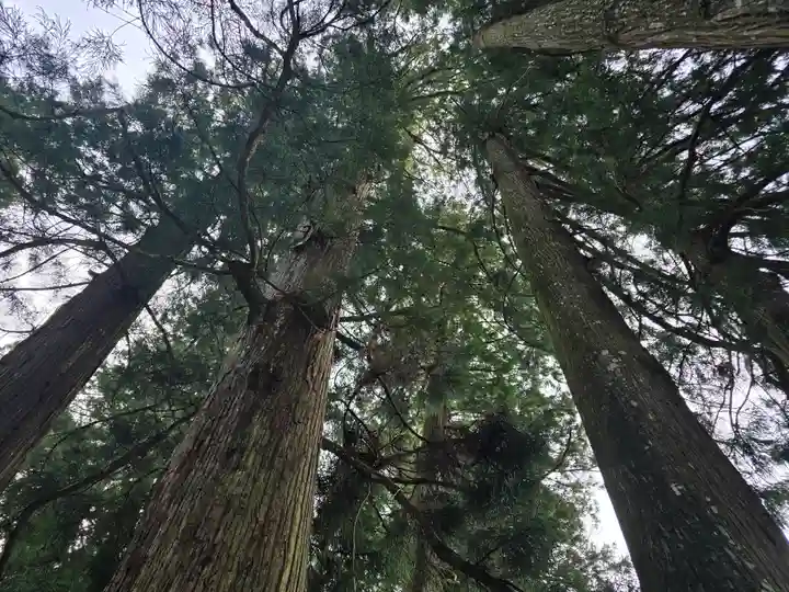 室生龍穴神社(奈良県)