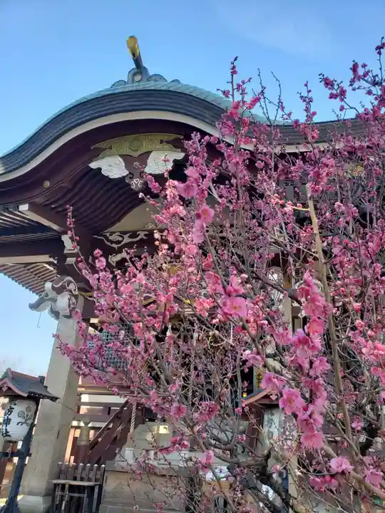 諏訪神社(東京都)