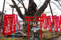 秩父今宮神社の自然