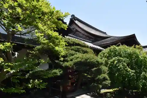 観智院（東寺子院）の庭園