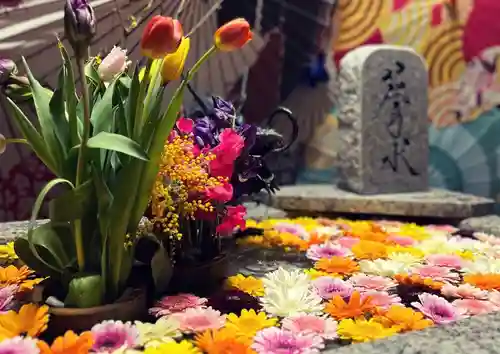 札幌諏訪神社の手水舎