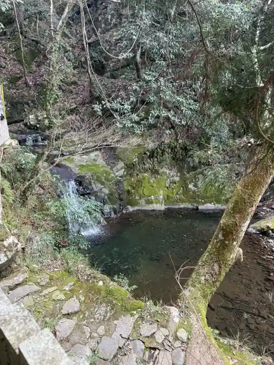 大本山七宝瀧寺の{uncategorized: "未分類", other: "その他", undefined: "問題あり", building: "その他建物", grave: "お墓", sacred_gate: "鳥居", guardian: "狛犬", statue: "像", buddha: "仏像", history: "歴史", nature: "自然", garden: "庭園", animal: "動物", pagoda: "塔", temizu: "手水舎", mountain_gate: "山門・神門", sanctuary: "本殿・本堂", subordinate: "末社・摂社", art: "芸術", scenery: "景色", jizo: "地蔵", ema: "絵馬", goshuin: "御朱印", omikuji: "おみくじ", items: "授与品その他", amulet: "お守り", goshuincho: "御朱印帳", eats: "食事", festival: "お祭り", votive_dance: "神楽", shichigosan: "七五三参", wedding: "結婚式", experience: "体験その他", initially: "初詣", around: "周辺", anti_infection: "感染症対策"}