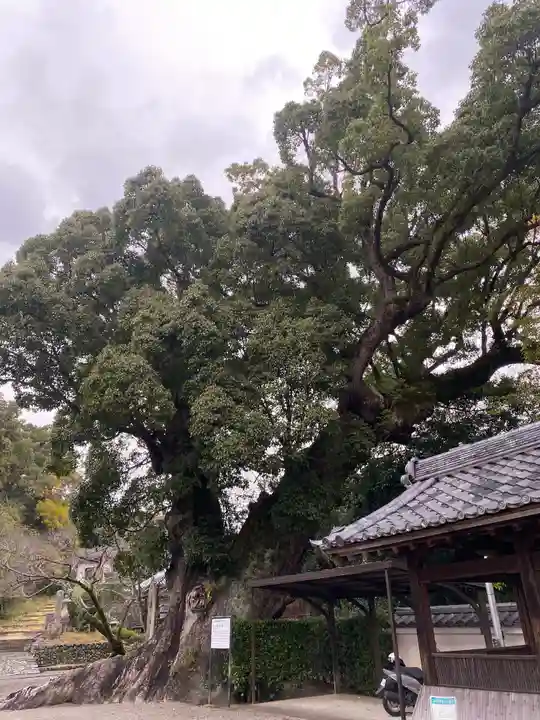 粉河寺(和歌山県)