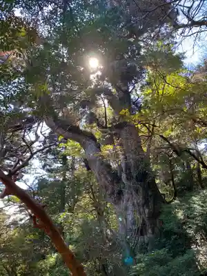 木魂神社(鹿児島県)