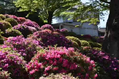 根津神社の庭園