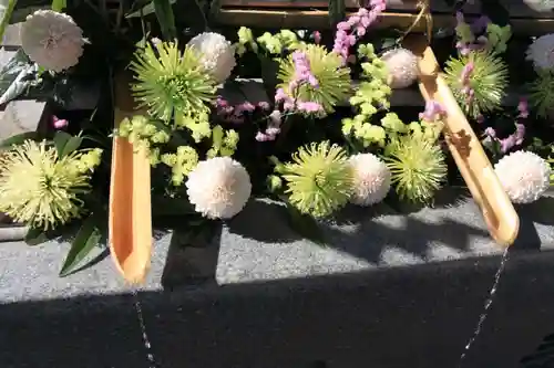 豊景神社の手水