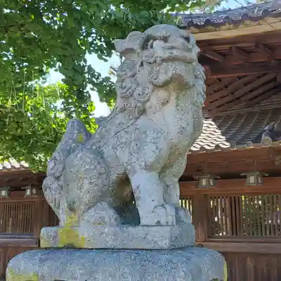 尾張八幡神社の狛犬
