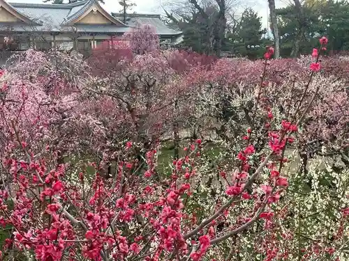 北野天満宮(京都府)