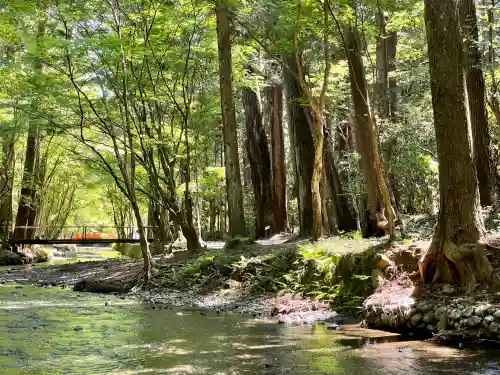 小國神社の{uncategorized: "未分類", other: "その他", undefined: "問題あり", building: "その他建物", grave: "お墓", sacred_gate: "鳥居", guardian: "狛犬", statue: "像", buddha: "仏像", history: "歴史", nature: "自然", garden: "庭園", animal: "動物", pagoda: "塔", temizu: "手水舎", mountain_gate: "山門・神門", sanctuary: "本殿・本堂", subordinate: "末社・摂社", art: "芸術", scenery: "景色", jizo: "地蔵", ema: "絵馬", goshuin: "御朱印", omikuji: "おみくじ", items: "授与品その他", amulet: "お守り", goshuincho: "御朱印帳", eats: "食事", festival: "お祭り", votive_dance: "神楽", shichigosan: "七五三参", wedding: "結婚式", experience: "体験その他", initially: "初詣", around: "周辺", anti_infection: "感染症対策"}