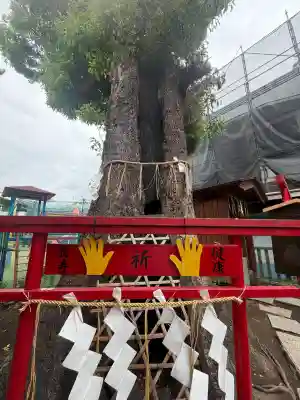 五方山熊野神社の{uncategorized: "未分類", other: "その他", undefined: "問題あり", building: "その他建物", grave: "お墓", sacred_gate: "鳥居", guardian: "狛犬", statue: "像", buddha: "仏像", history: "歴史", nature: "自然", garden: "庭園", animal: "動物", pagoda: "塔", temizu: "手水舎", mountain_gate: "山門・神門", sanctuary: "本殿・本堂", subordinate: "末社・摂社", art: "芸術", scenery: "景色", jizo: "地蔵", ema: "絵馬", goshuin: "御朱印", omikuji: "おみくじ", items: "授与品その他", amulet: "お守り", goshuincho: "御朱印帳", eats: "食事", festival: "お祭り", votive_dance: "神楽", shichigosan: "七五三参", wedding: "結婚式", experience: "体験その他", initially: "初詣", around: "周辺", anti_infection: "感染症対策"}