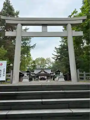 鷹栖神社の鳥居