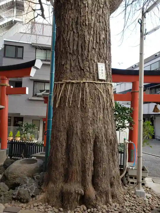 五柱五成神社の自然
