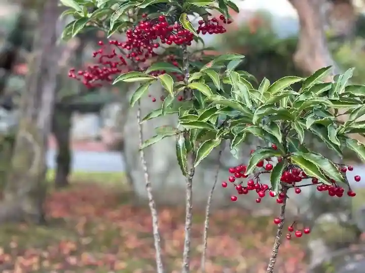 伊勢の国 四天王寺の自然