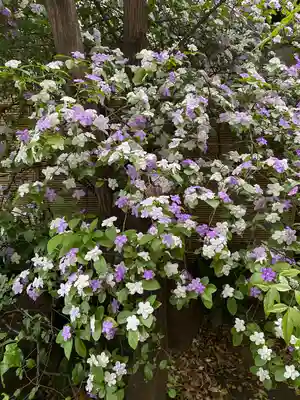 青山熊野神社(東京都)