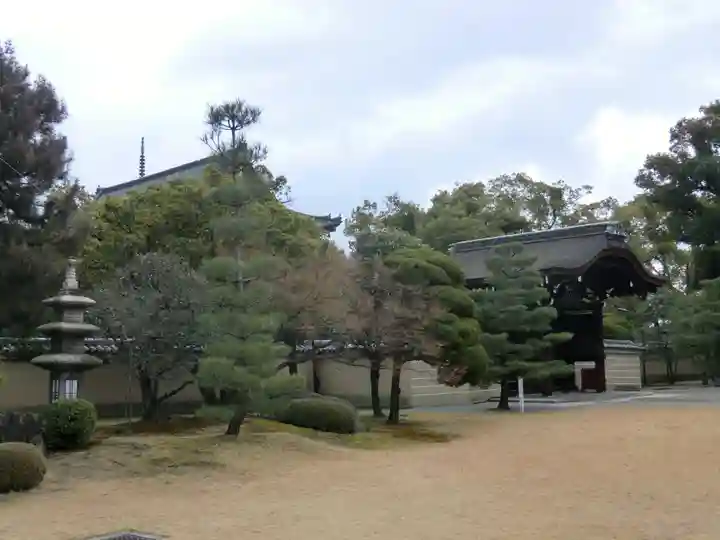 東寺(教王護国寺)(京都府)