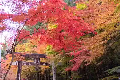 大矢田神社(岐阜県)