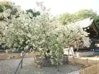 上地八幡宮の庭園