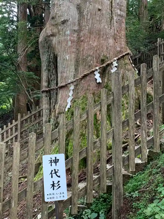 玉置神社のその他建物