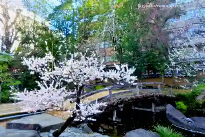 湯島天満宮(東京都)