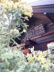 蔵前神社の建物その他