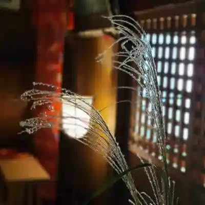 伏木香取神社(茨城県)