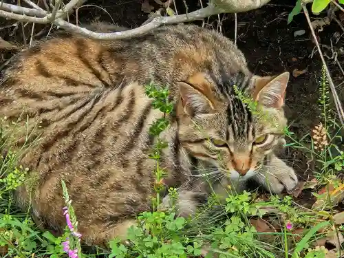 成田山新勝寺(千葉県)